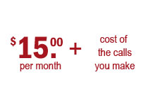 virtual number pricing